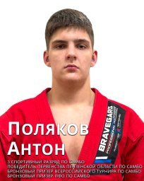 Достижения 2